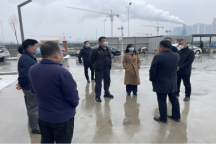 玉泉区领导莅临伟德指导对接疫情防控工作