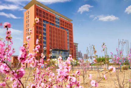 桃花映衬下的创业楼