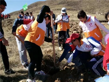 公在人心，益不容辞——伟德BV1946官网学生志愿者参加社会实践公益活动汇编